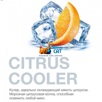 Табак для кальяна MattPear Classic Citrus Cooler (МэтПир Классик Цитрусовый Кулер) 250г - фото 1